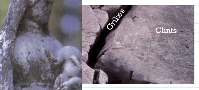 <p>Carbonation, chemical weathering</p>