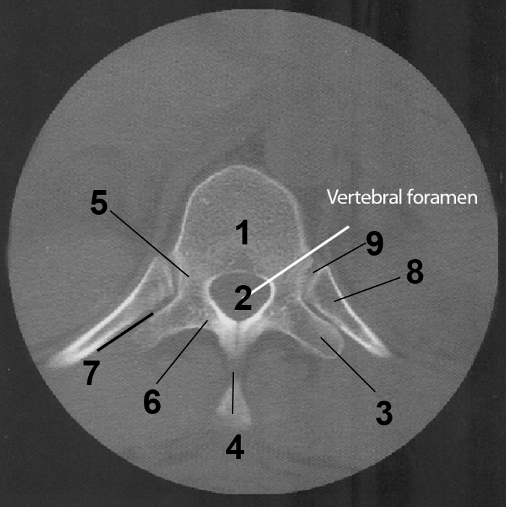 <p>1</p>
