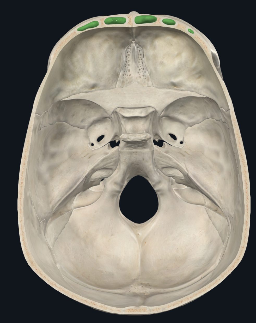 knowt flashcard image