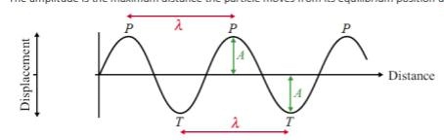 <p>Maximum Displacement from equilibrium.</p>