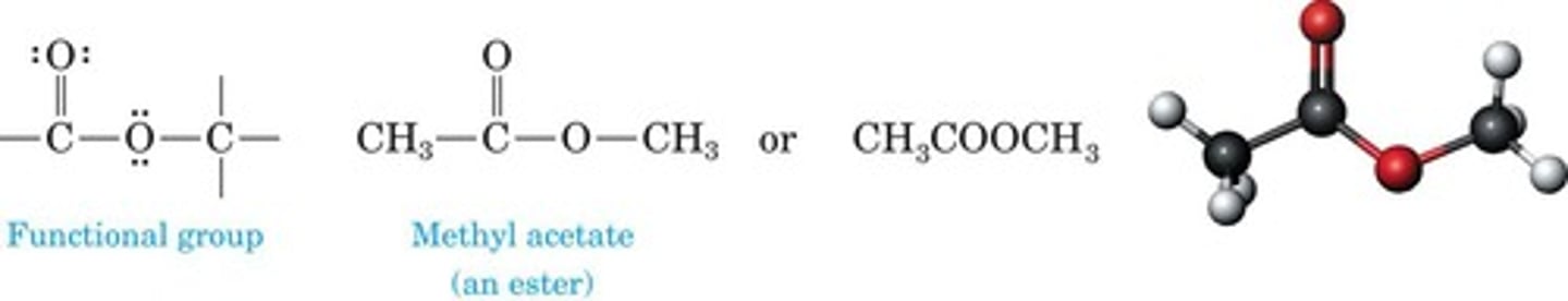 <p>Derived from carboxylic acid, H replaced by alkyl.</p>