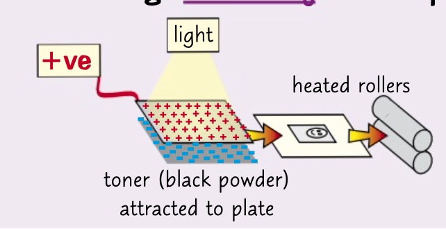 * the image plate is positively charged. an image of what you’re copying is projected onto it.
* whiter bits of what your copying make light fall on the plate and the charge leaks away in those places
* the charged bits attract negatively charged black powder which is transferred onto positively charged paper
* the paper is heating so the powder sticks
* and there is a photocopy