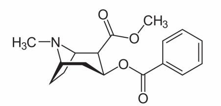 <p>Cocaine: a tropane alkaloid</p>
