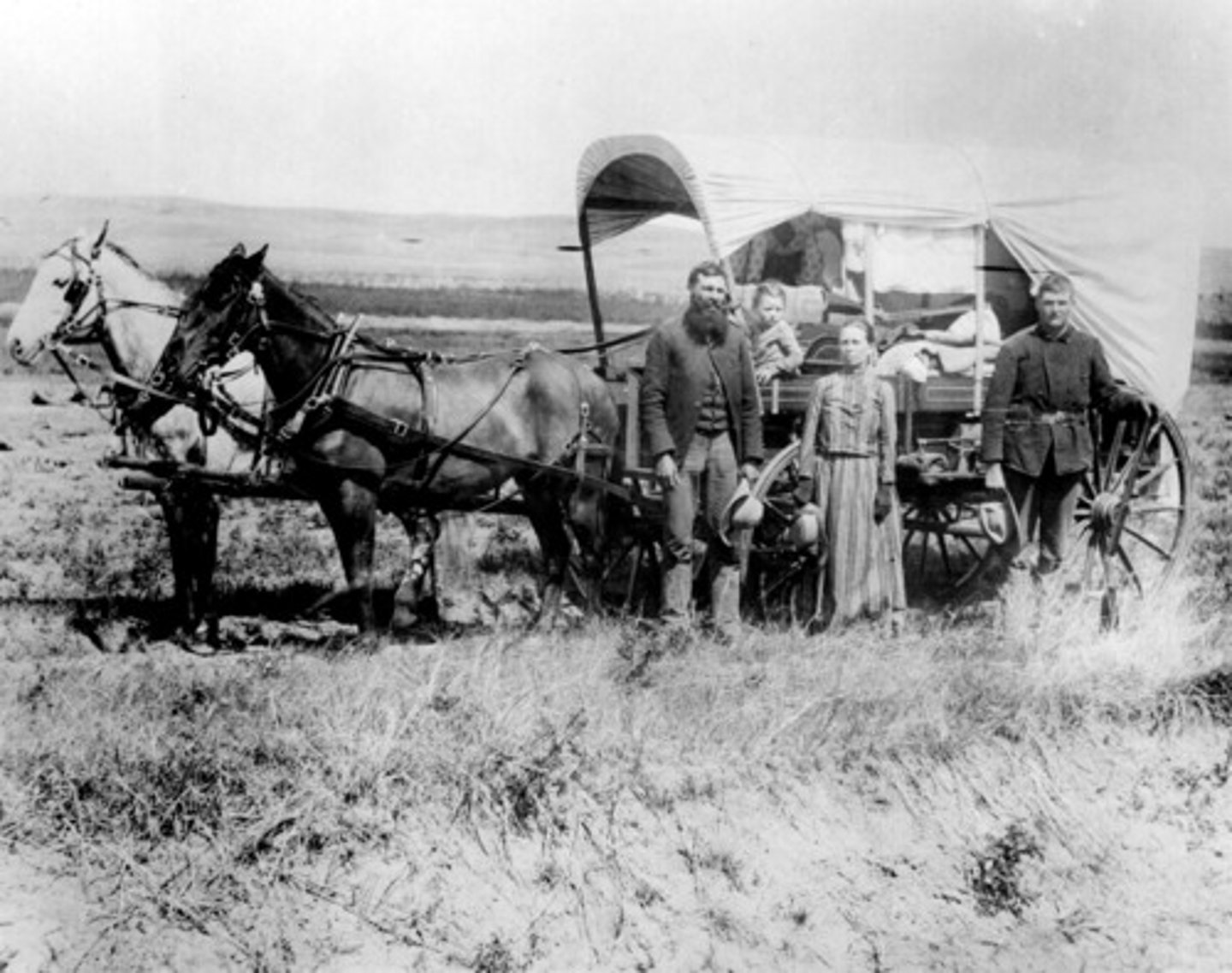 <p>Pioneers, 1886</p><p>The family shown in this picture is most likely on the way to -</p>