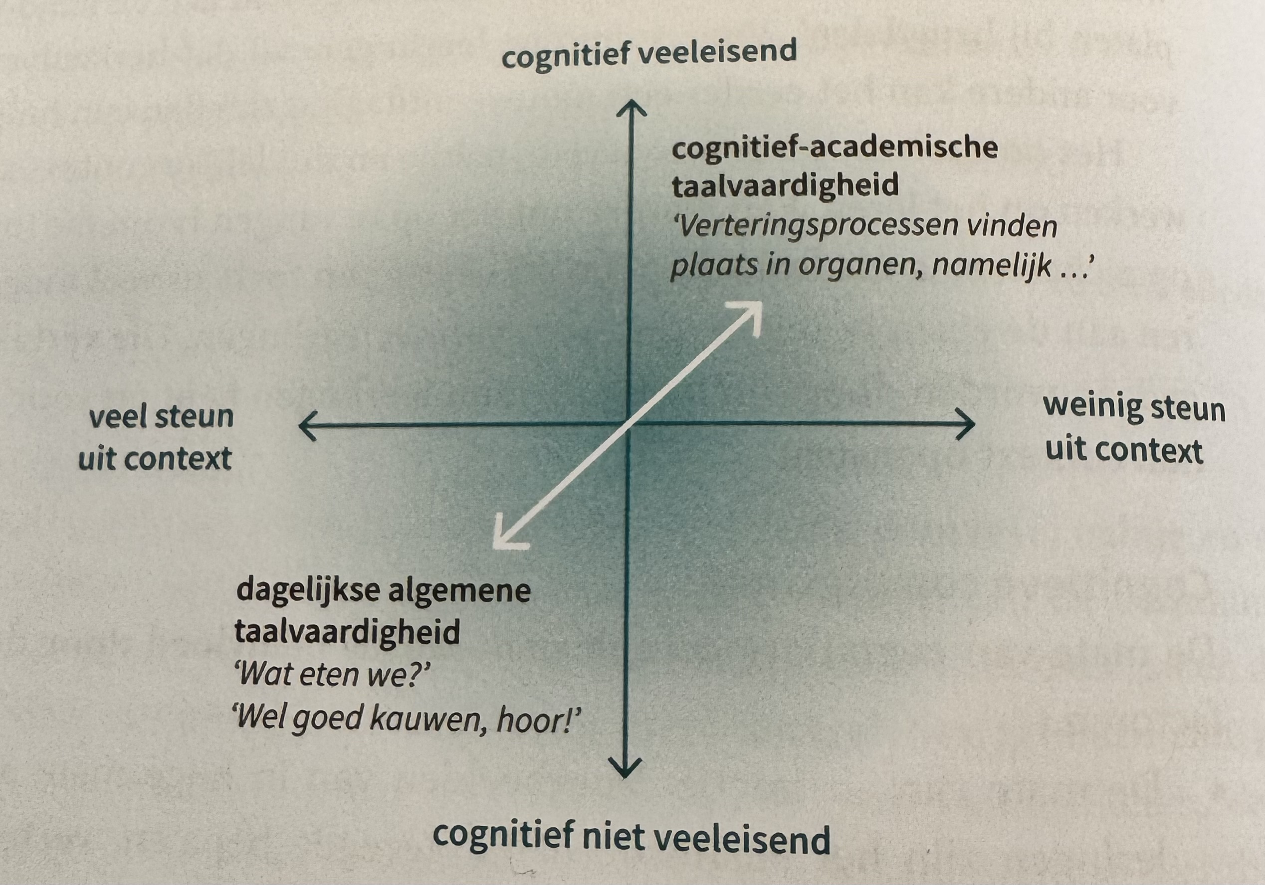 <p>In welk kwadrant bevinden de meeste theoretische schoolactiviteiten zich?</p>