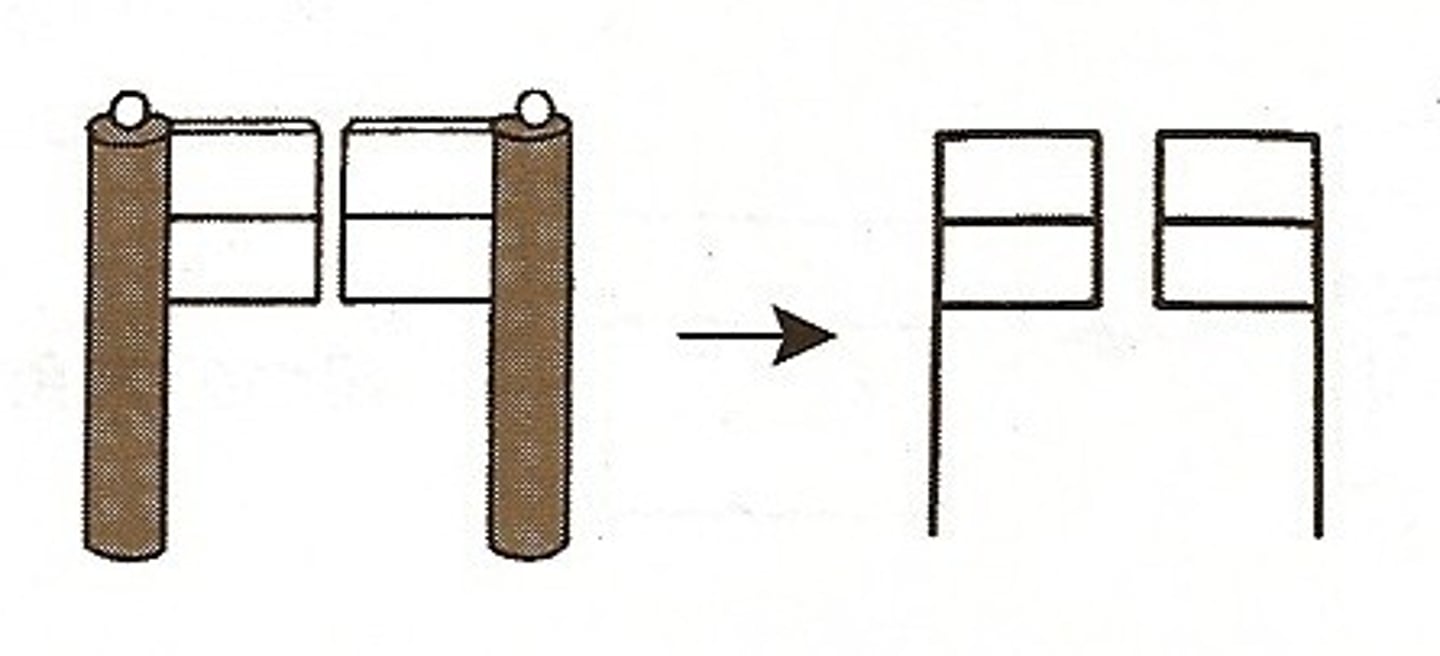 <p>kapı (büyük giriş)</p><p>学校の門を入ります。</p><p>Gakkō no mon o hairimasu.</p><p>Okulun kapısından girerim.</p><p>門の前で待ちます。</p><p>Mon no mae de machimasu.</p><p>Kapının önünde beklerim.</p>