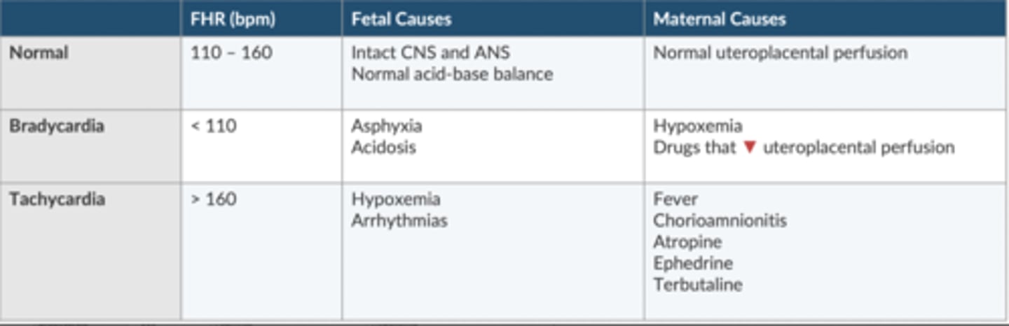 <p>Surrogate measure of overall fetal wellbeing.</p><p>Provides indirect method to assess fetal hypoxia + acidosis</p><p>Fetus responds to stress w/peripheral vasoconstriction, HTN, + baroreceptor mediated ↓ HR</p>