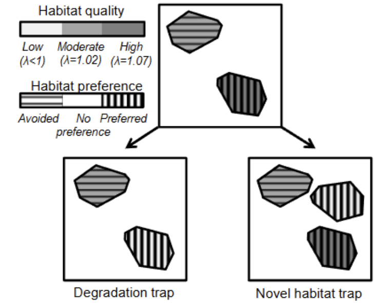 <p>a habitat is introduced</p>