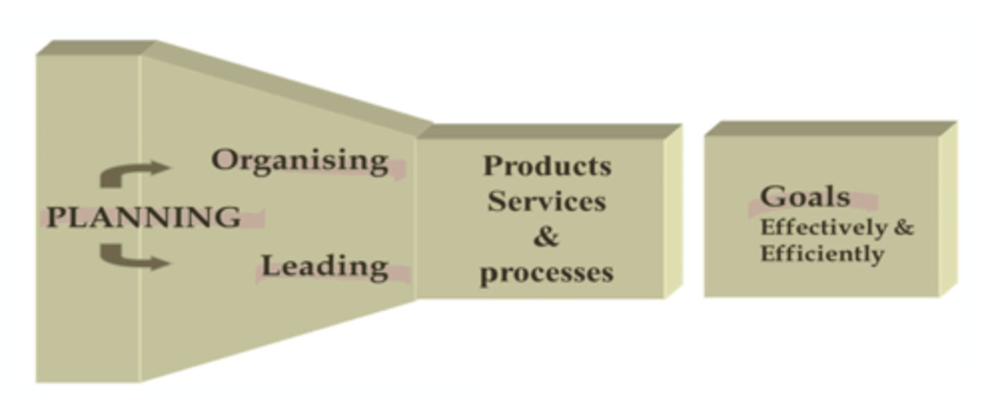 <p>yes, it is the 3rd most important.</p><p>1 multiple choice option</p>