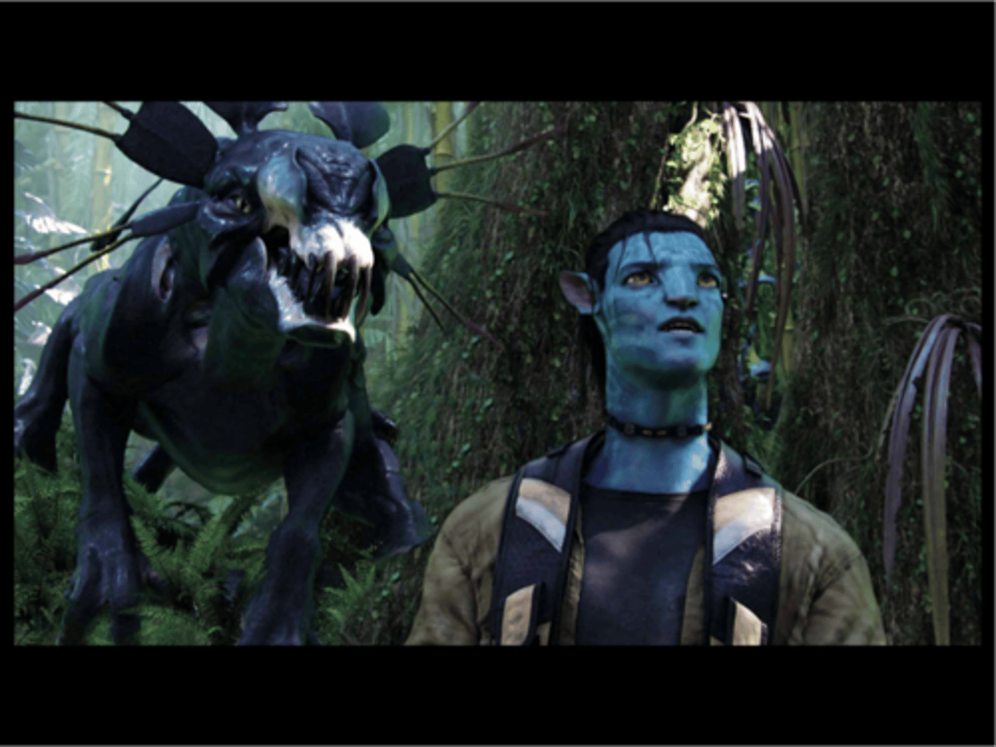 <p>Avatar was directed by James Cameron</p>