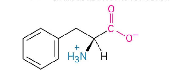<p>is nonpolar, with a benzyl side chain, contributing to the hydrophobic core.</p><p>is an essential building block for proteins that is famous for being the starting material for many other important molecules in the body, including hormones and neurotransmitters.&nbsp;</p><p>The body uses this amino acid to create: <strong>Tyrosine</strong>, <strong>Dopamine </strong>&amp; <strong>Norepinephrine </strong>(neurotransmitters that regulate mood, focus, and alertness), <strong>Epinephrine </strong>(Adrenaline), the&nbsp;“fight or flight” hormone. <strong>Thyroid hormones </strong>which regulate your metabolism.</p><p><u><mark data-color="#fff6dd" style="background-color: rgb(255, 246, 221); color: inherit;">Aromatic</mark></u></p>