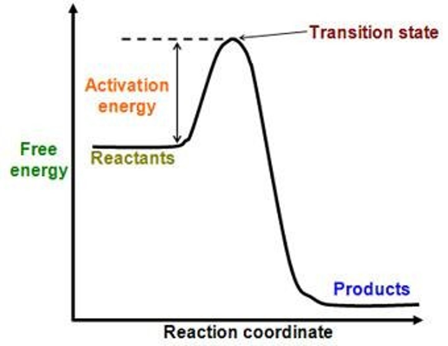 <p>The energy needed to start a reaction.</p>