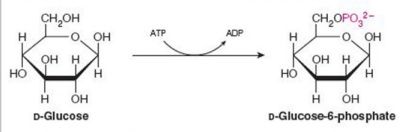 <p>Give Reaction Type and Class</p>