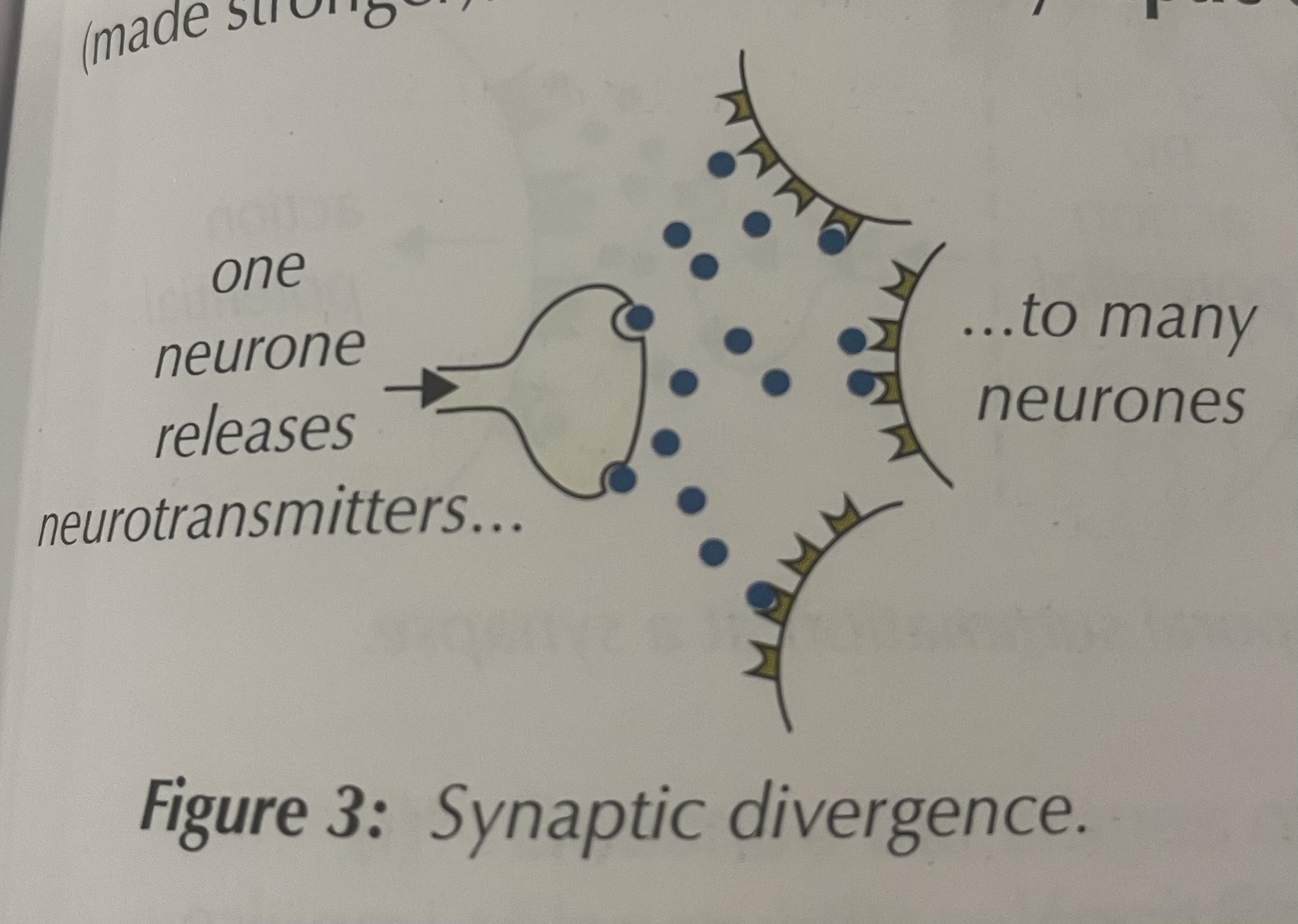 knowt flashcard image