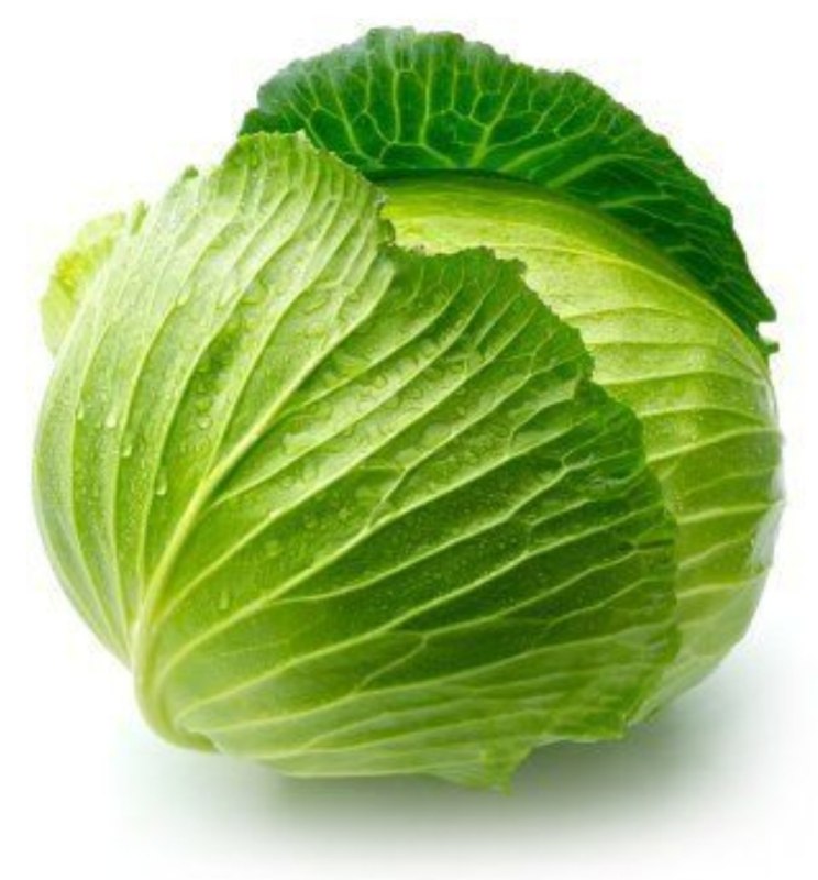 <p>cabbage</p>