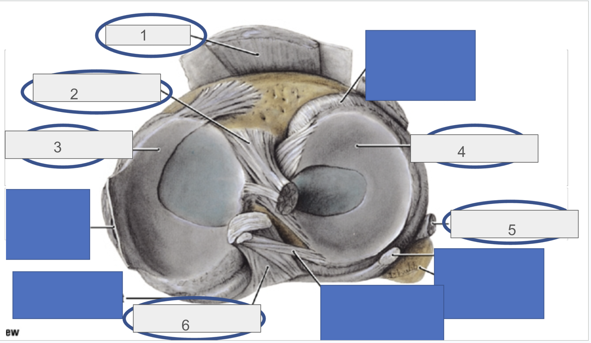 <p>what are are you looking at and from what angle ? </p>