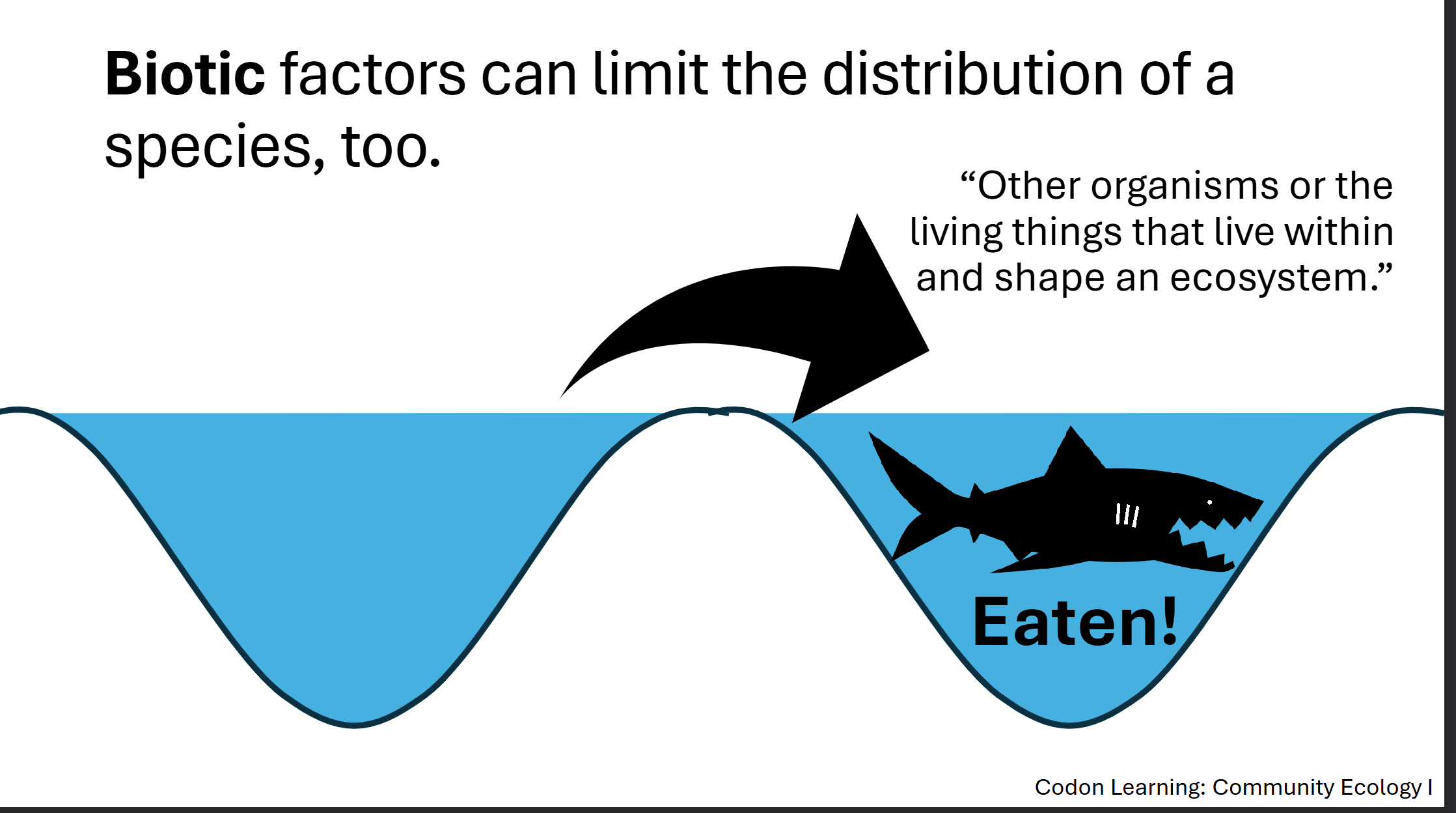 <ul><li><p><span><span>Are the organisms present—the ones that do the eating and competing and beneficial exchanging</span></span></p></li><li><p><span><span>Ex. Food availability, rates of reproduction, competition, predators, parasites etc</span></span></p></li></ul><p></p>