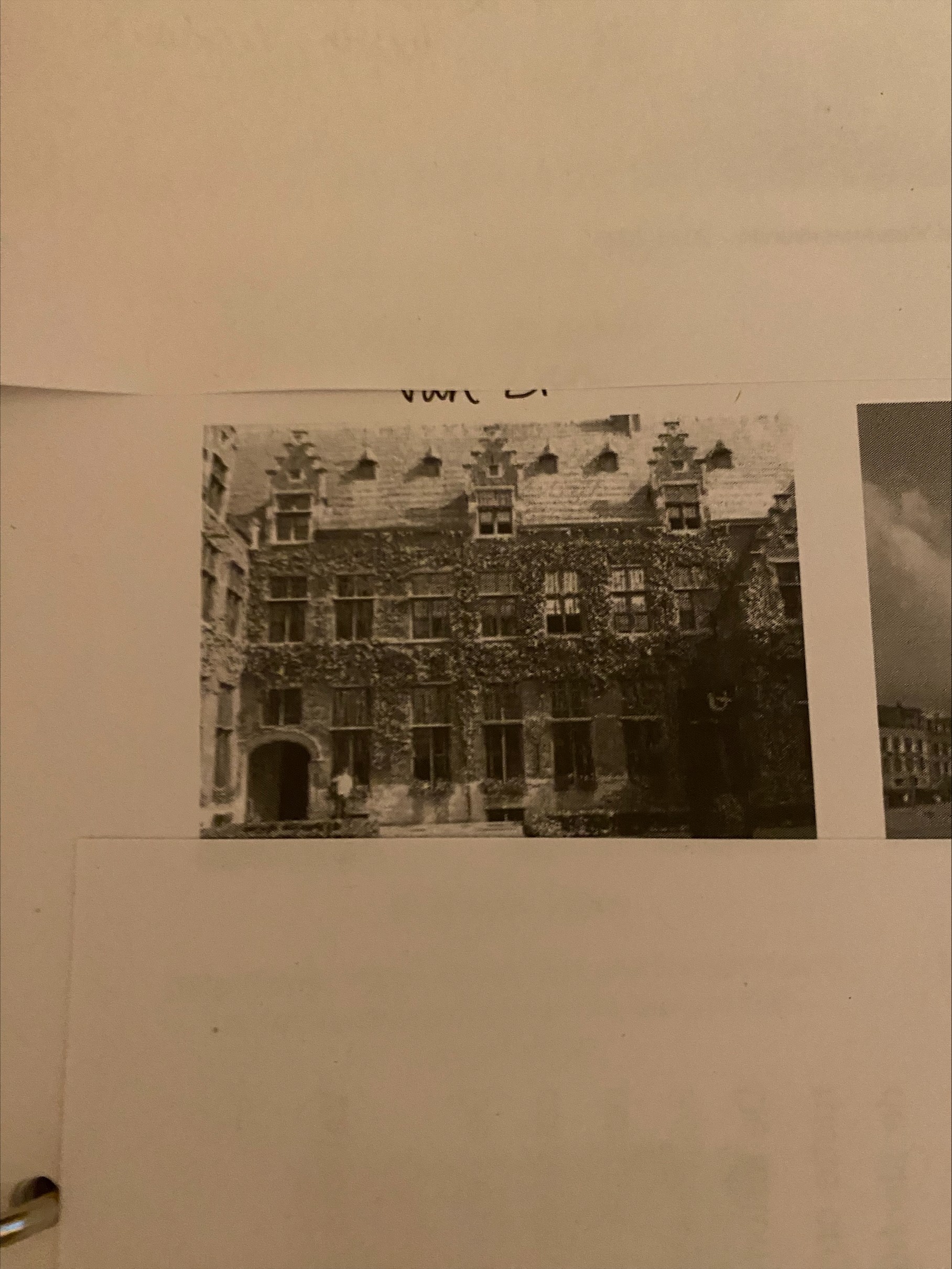 <p></p>