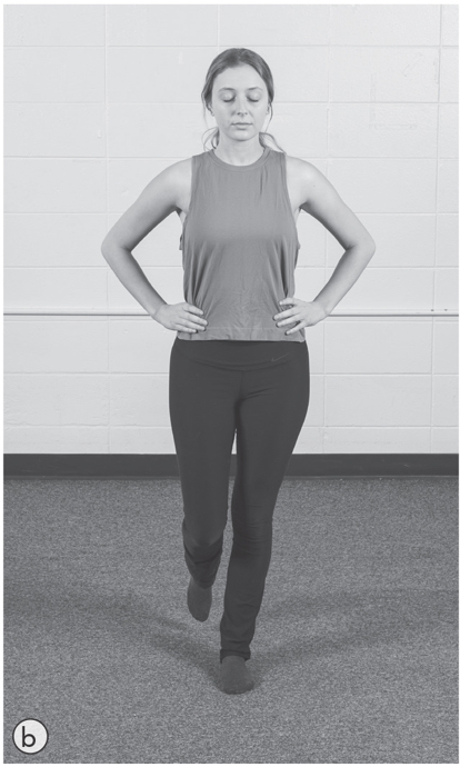 <p>Single Leg</p>