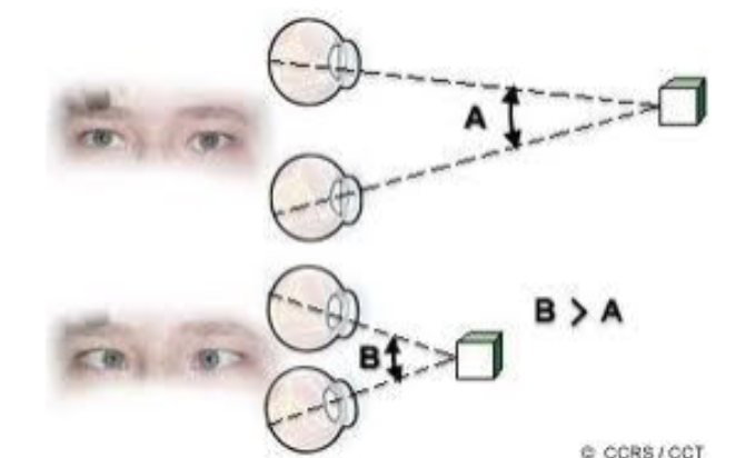 <p>information about how much eyes must rotate inward to look at an object. more rotation means object is closer</p>