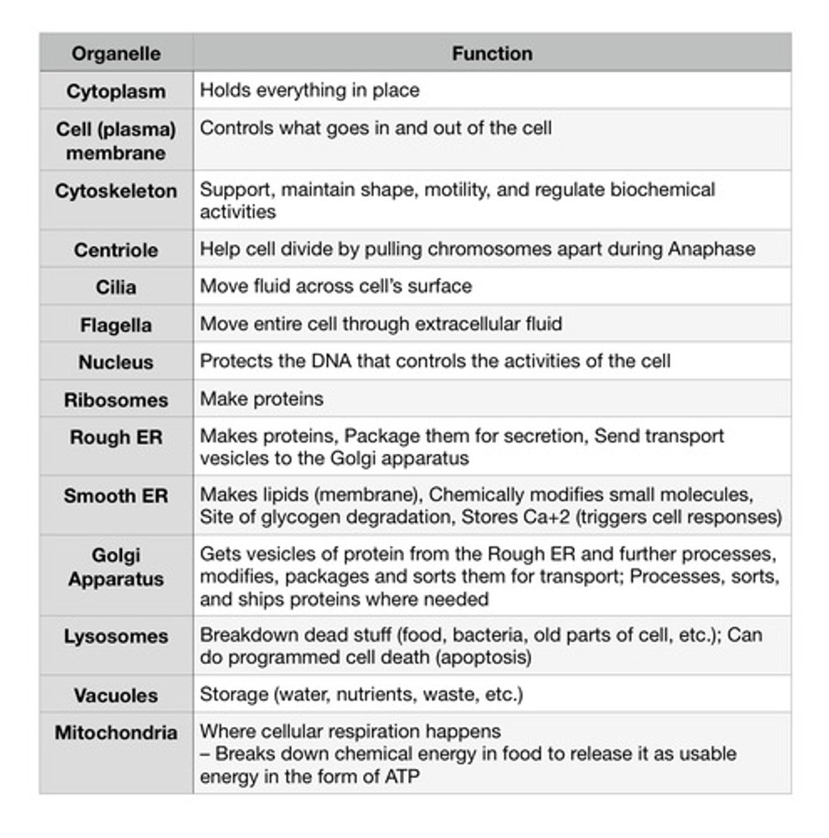 knowt flashcard image