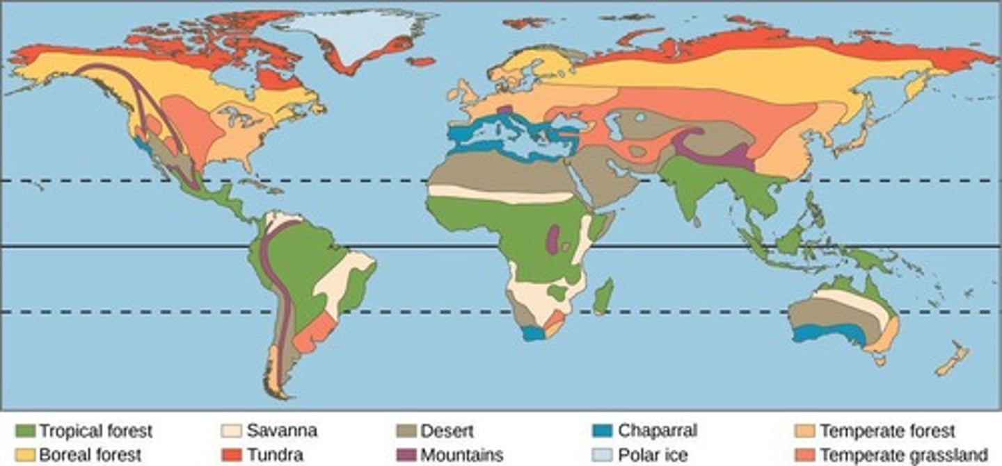 <p>A region of Earth that experiences the same types of temperature and precipitation conditions, resulting in similar collections of plants and animals.</p>