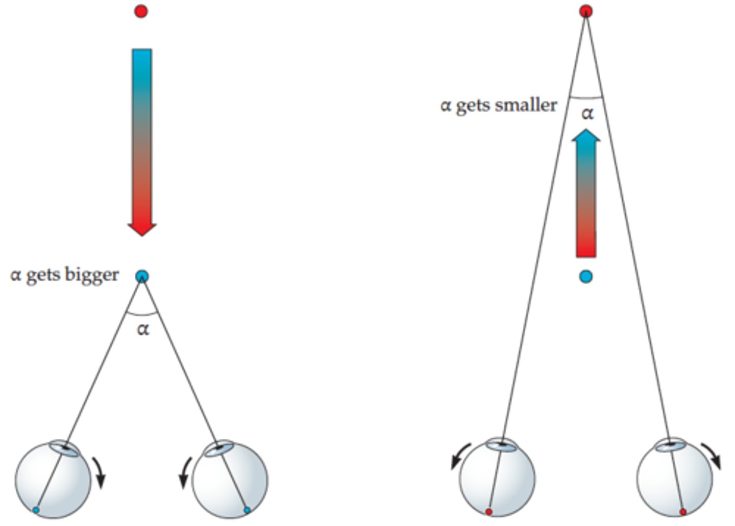 <p>Oculomotor depth cue</p>