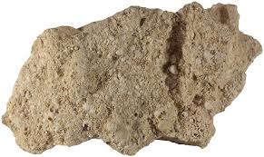 <p>Coquina</p>