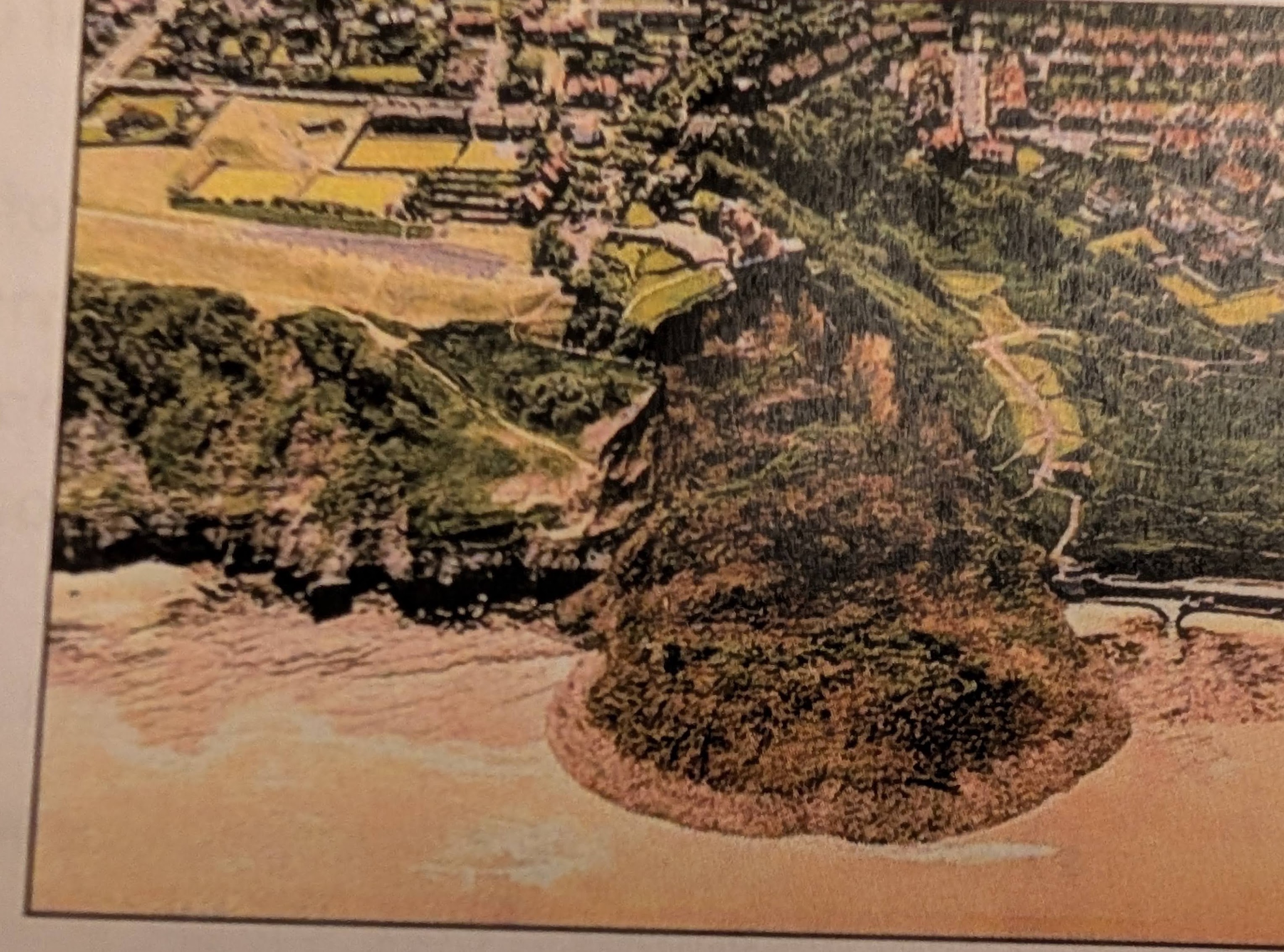 <p>Occurs on steep hills.</p><p class="has-focus">Land moves rapidly under the influence of gravity.</p><p class="has-focus">Many occur through lines of weakness that are weakened by water flowing through joints.</p><p class="has-focus">These can lubricate layers, and cause it to slide along a straight ‘slip plane’ and rock falls as ‘block’ which maintains contact with the cliff.</p>