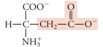 <p>Asp, D, Acidic (neg charge)</p>