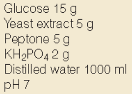 <p>The recipe shown in the image is an example of what kind of media?</p>