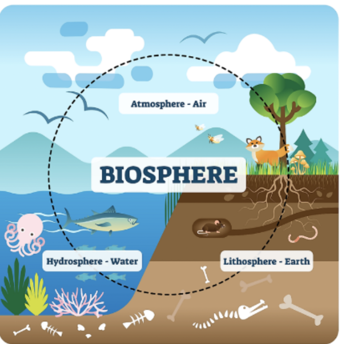 <ol><li><p>Hydrosphere: All water on Earth </p></li><li><p>Atmosphere: The layer of gases that surround the Earth</p></li><li><p>Lithosphere: The solid portion of the Earth</p></li></ol>