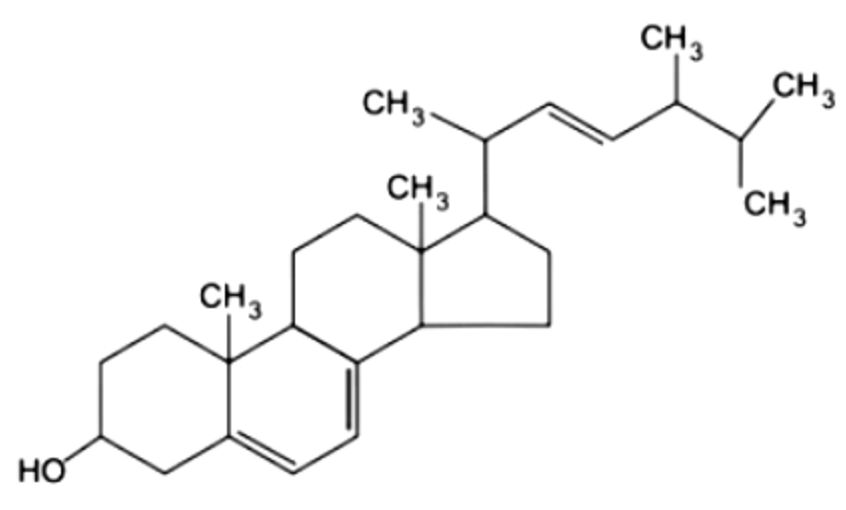 <p>what is this structure?</p>
