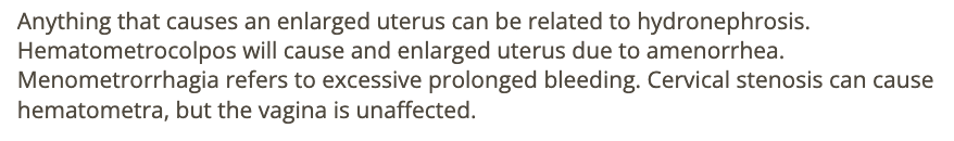 <p>b) hydronephrosis </p>