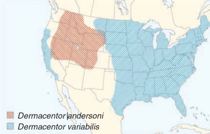 This map shows the range of ticks that carry ___________ ____________, the agent of Rocky Mountain Spotted Fever.
