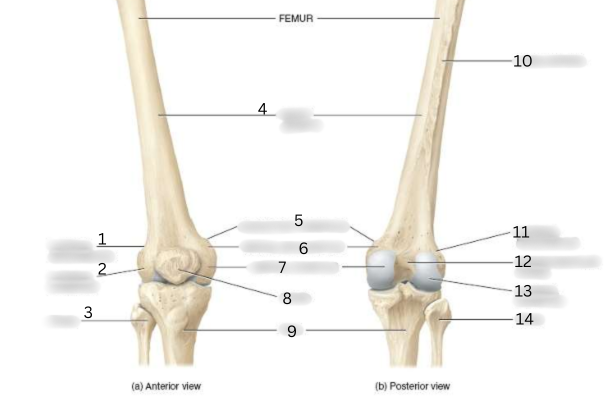 <p>9</p>