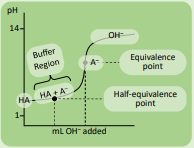 <p>Weak Acid with Strong Base</p>