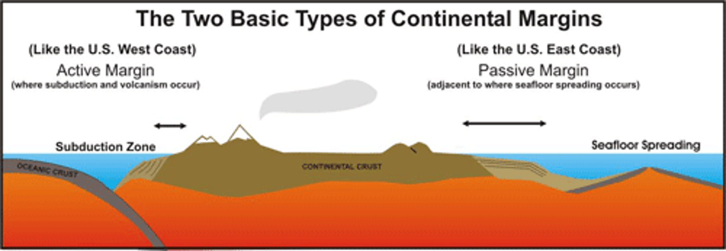 <p>Active margins = continental margin where tectonic forces caused by plate movements are actively deforming the continental crust</p><p>Passive margins = continental margin far from a plate boundary; attached to oceanic crust as part of same plate & zones of extended crust</p>