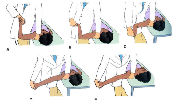 <p>Position: Supine</p><p>Examiner: Facing cranially</p><ul><li><p>Shoulder girdle depression (proximal hand depresses shoulder and thigh is used to block the shoulder)</p></li><li><p>Shoulder abducted to 90°</p></li><li><p>Elbow flexed to 90° and wrist is neutral</p></li><li><p>Extend the wrist and fingers</p></li><li><p>Externally rotate the shoulder</p></li><li><p>Extend the elbow</p></li><li><p>Side bend neck away from the side being tested</p></li></ul>
