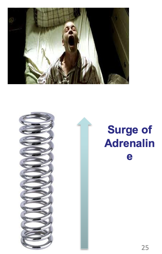 <ul><li><p>Feelings of restlessness or irrationality </p></li><li><p>Time will be spent obtaining &amp; using the substance</p></li></ul><p></p><ul><li><p><span style="background-color: transparent;"><span>Usually involves opposite effect of drug</span></span></p><ul><li><p><span style="background-color: transparent;"><span>E.g., extreme sensitivity following prolonged exposure to opioids</span></span></p></li><li><p><span style="background-color: transparent;"><span>Opiate. Heroin takes away the ability to feel pain, then you’ll be super sensitive to any kind of sensory event as painful as you withdraw.&nbsp;</span></span></p></li><li><p><span style="background-color: transparent;"><span>If it makes you feel really calm and not nauseous will do the opposite</span></span></p></li></ul></li></ul><p></p><ul><li><p><span style="background-color: transparent;"><strong><span>Withdrawal</span></strong><span> refers to unpleasant and sometimes dangerous symptoms when the addictive substance is removed from the body.</span></span></p></li><li><p><span style="background-color: transparent;"><span>Psychological dependence, or habituation, refers to being psychologically accustomed to a substance due to regular use.</span></span></p></li><li><p><span style="background-color: transparent;"><span>When it comes to addiction, your brain works a bit like a spring. Drugs &amp; alcohol push down that spring &amp; suppress your brain production of neurotransmitters. And then, when you stop using drugs or alcohol its like taking the weight off the spring. And you rebound by producing a surge of adrenaline that causes withdrawal symptoms</span></span></p></li></ul><p></p>