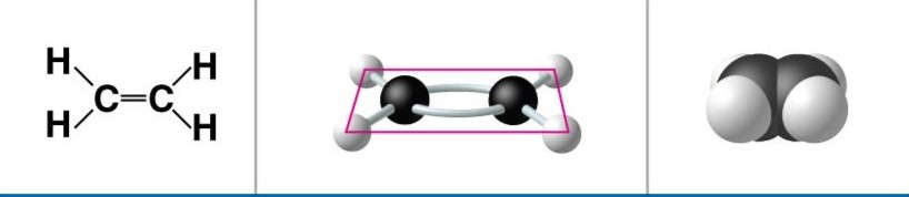 <p>Triple bonds lead to _____________.</p>