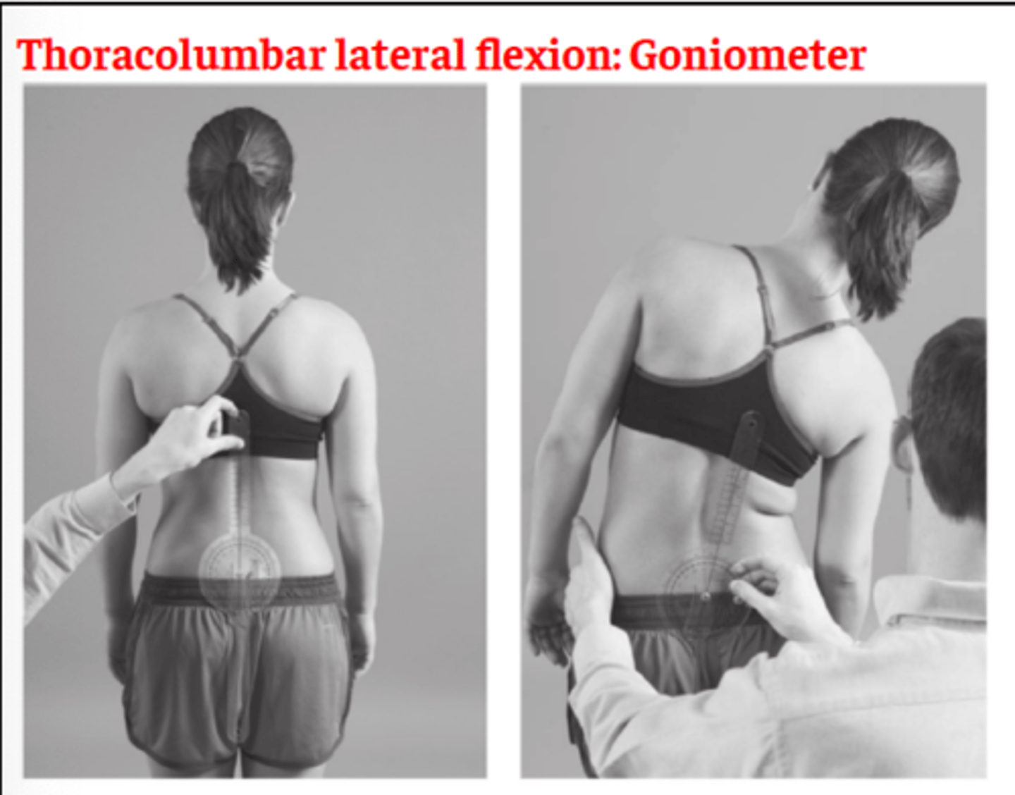 <p>fulcrum: spinous process S2<br>proximal: perpendicular to floor<br>distal: aligned with thoracic vertebrae<br><br>normal = 35</p>