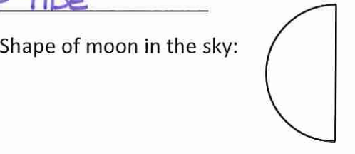 <p>Determine what type of tide to expect based on the not to scale cartoons</p>
