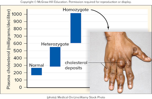 <p>Consider the image above. The alleles for the gene for hypercholesterolemia give the above phenotypes depending on the genotypes listed. The pattern of inheritance for this disorder is</p>