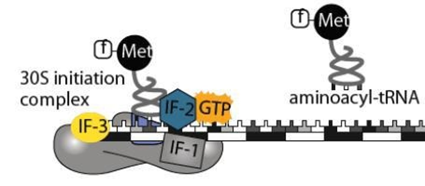 <p>A ribosomal binding site in bacterial mRNA located upstream of the start codon.</p>