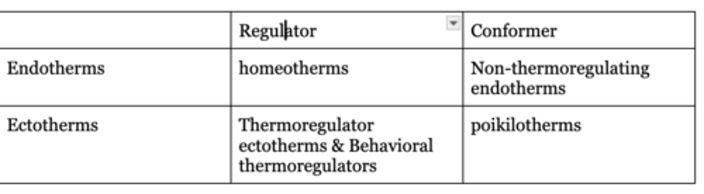 <p>Endotherms generate a majority of their energy via metabolism, and have high rates of metabolism. Ectotherms rely on the environment for heat, and have low metabolism.</p>