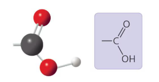<p>What functional group is this?</p>