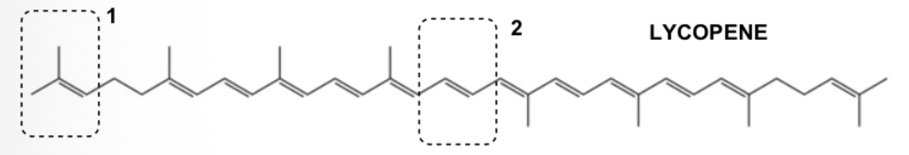 <p>Lycopene (below) is a bright red antioxidant carotenoid hydrocarbon found in tomatoes as well as other red fruits. Question: Select the correct E/Z/neither stereochemistry assignment for the C=C bonds labelled 1 and 2.</p>