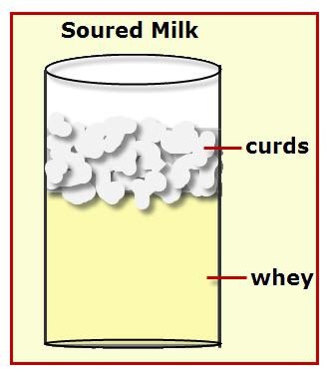 <p>Light exposure can cause off flavors in milk due to interactions between protein and riboflavin.</p>