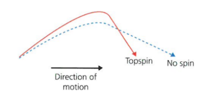 <ul><li><p>a pressure gradient forms </p></li><li><p>additional magnus force is created as air moves down a pressure gradient </p></li><li><p>shortens flight path </p></li></ul>